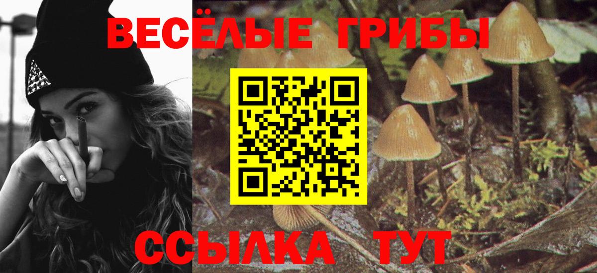 что такое наркотик  Балахна  Галлюциногенные грибы мухоморы 