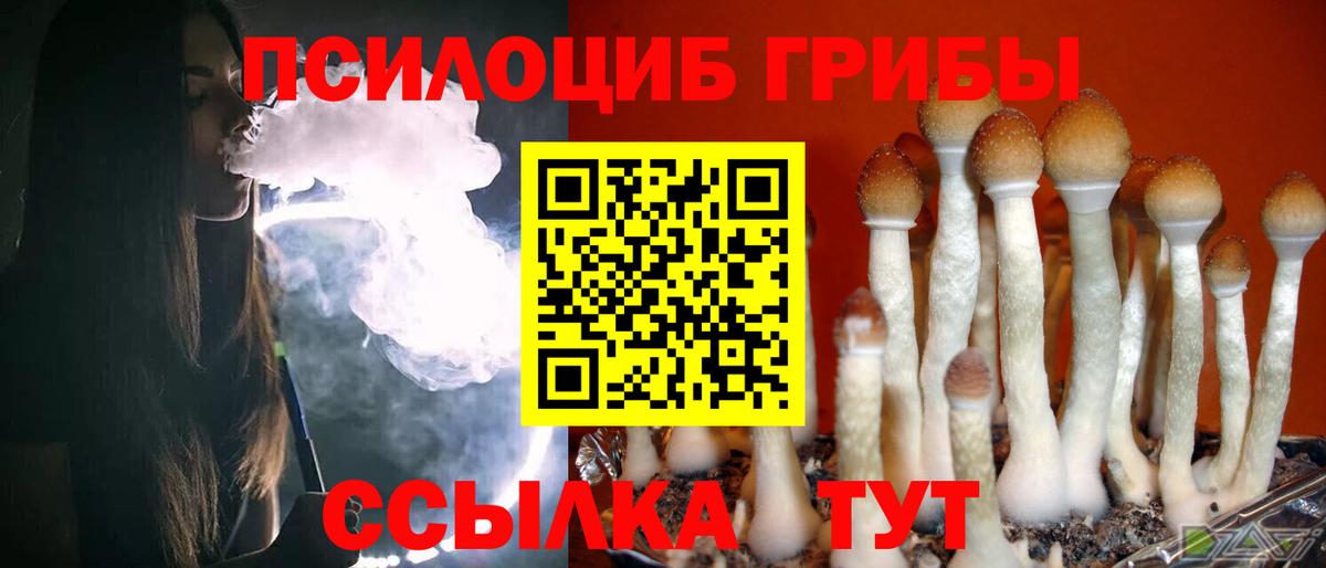 Псилоцибиновые грибы Magic Shrooms  Вход с VPN  Балахна 